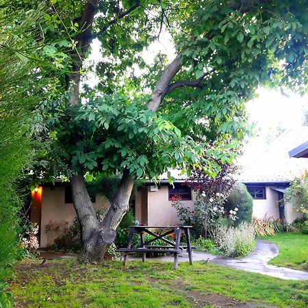 Cabanas Los Nonos Ель-Больсон Екстер'єр фото